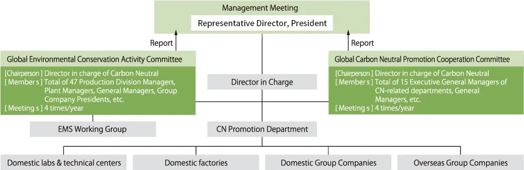 Environmental Management Structure